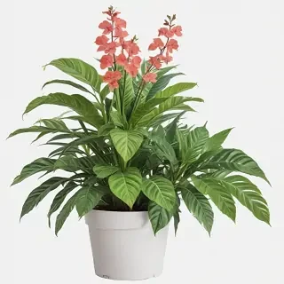 aesthetic plants png