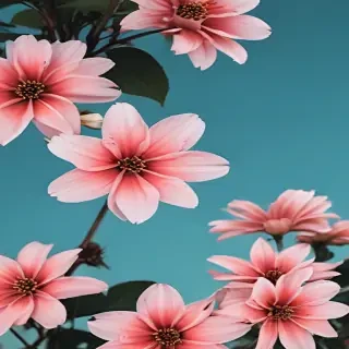 flowers aesthetic wallpaper