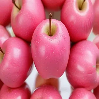 pink apple wallpaper