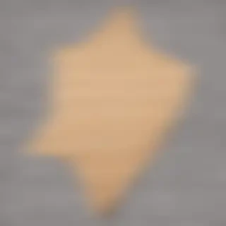 paper torn png