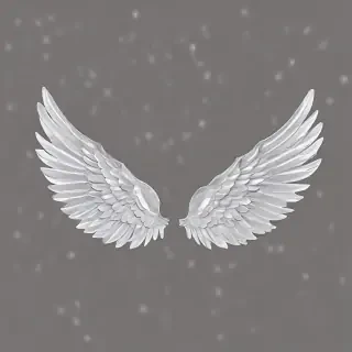 wings transparent