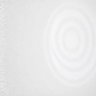 white zoom background