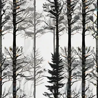 trees transparent