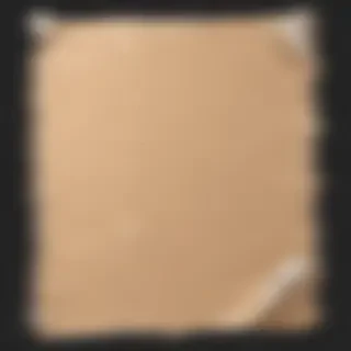 paper ripped png