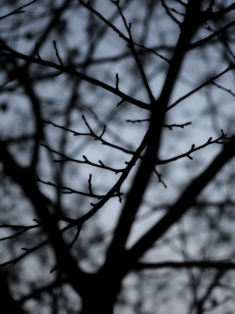 Create a high-resolution image of a simple black silhouette of a tree branch, use a 50mm lens, settings at f/2.8 for a shallow depth of field, ISO 200, shot from a low angle view, using a DSLR camera.