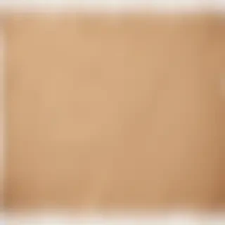 aesthetic ripped paper png