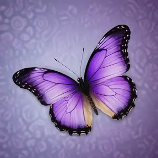 purple butterfly images
