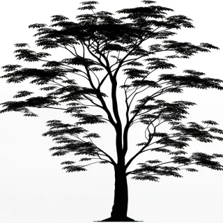 silhouette tree png