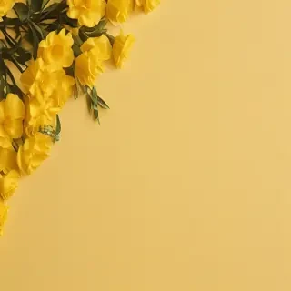 aesthetic yellow background