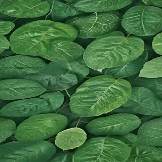 green leaf design