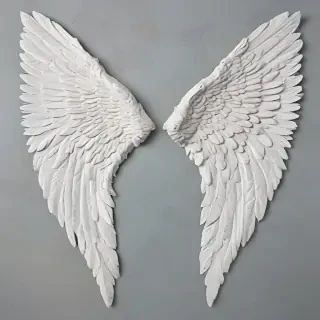 picture of angel wings