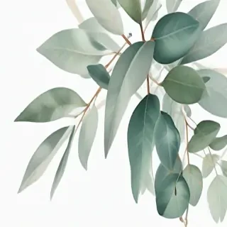 eucalyptus clipart black and white