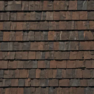 shingles images