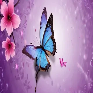 wallpaper butterfly images