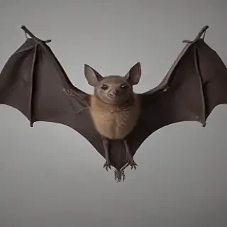 bats png