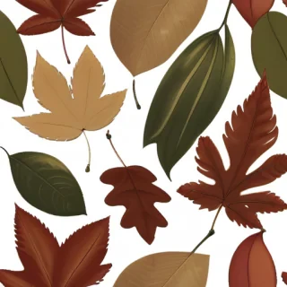 png fall leaves