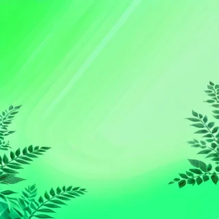 aesthetic green bg