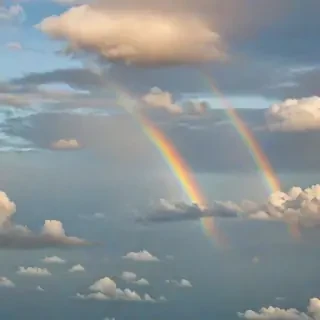 rainbow transparent