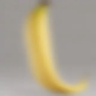 banana peel png