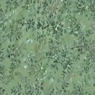 sage green backround