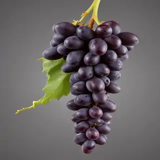 grapes png