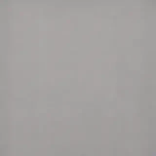 plain grey background