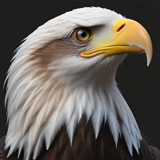 bald eagle png