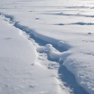 transparent snow
