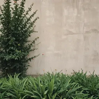 border aesthetic