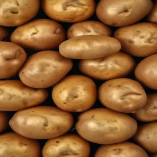 potato png