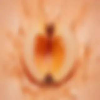 peach color background