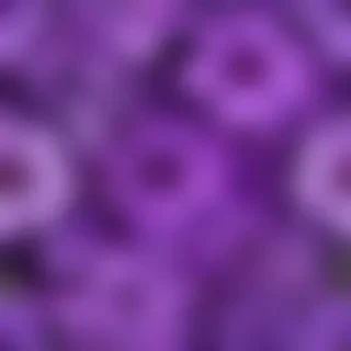 purple flowers background