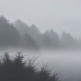 foggy background