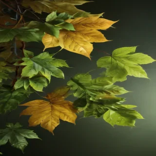 background leaves