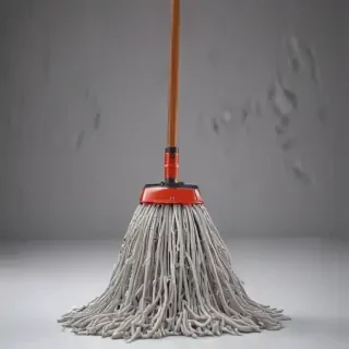 mop png