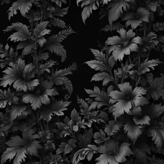black wallpaper phone