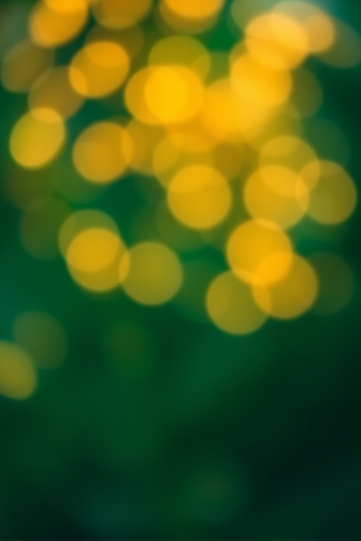 Generate a soft-focus background with a bokeh effect of yellow and green glowing orbs against a dark green backdrop, camera settings f/2.8, ISO 200, shutter speed 1/60, view from a slightly elevated angle, using a DSLR camera with a 50mm lens for enhanced depth of field.