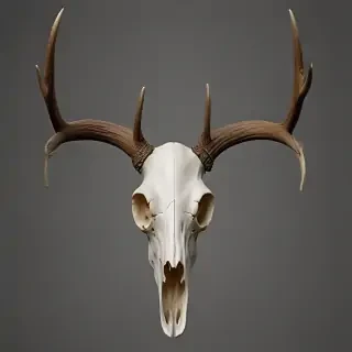 deer skull png