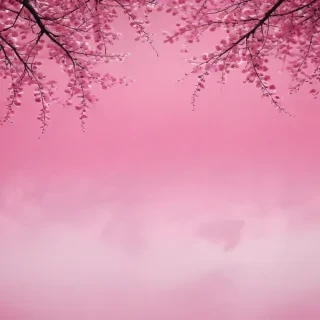 pretty pink background
