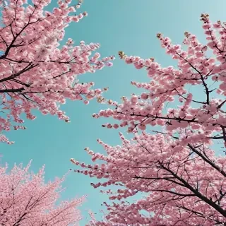 aesthetic spring wallpaper