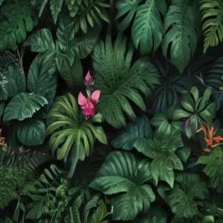 plants iphone wallpaper