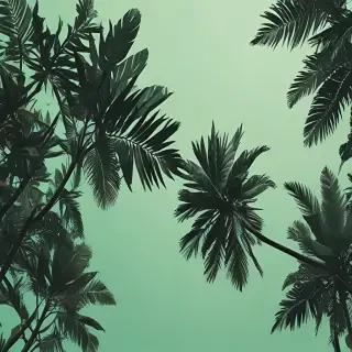 aesthetic wallpapers green