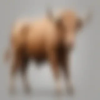 bull png