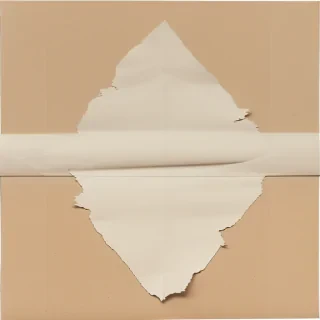 ripped paper png
