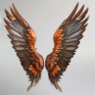 angle wings png