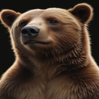 png bear