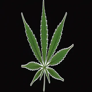 cannabis leaf png