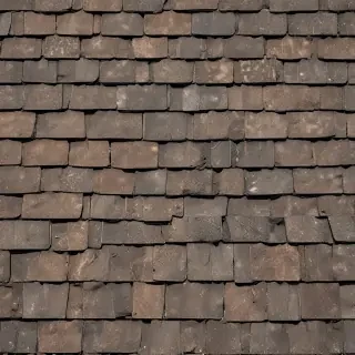 shingles images