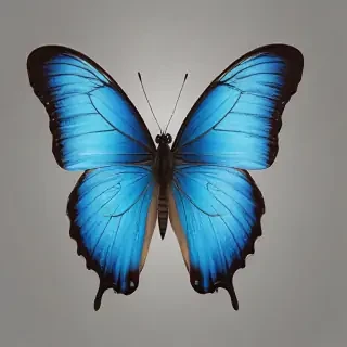 blue butterfly png