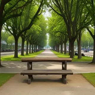 park png